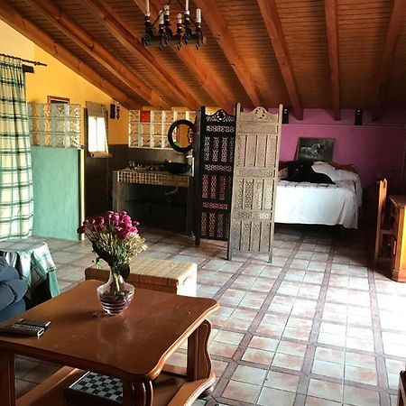 Terraza De Patria Apartment Вехер де ла Фронтера Екстериор снимка