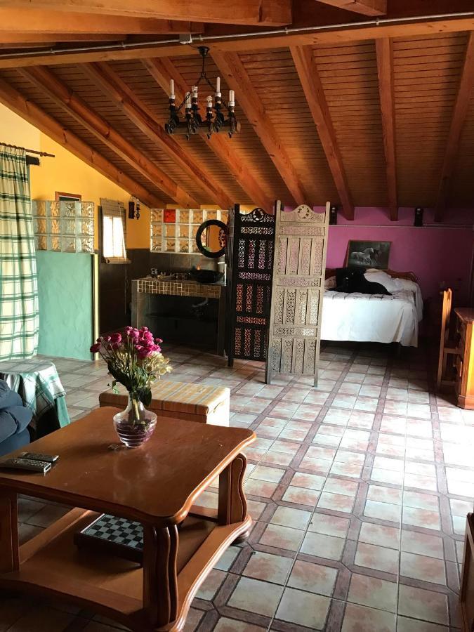 Terraza De Patria Apartment Вехер де ла Фронтера Екстериор снимка